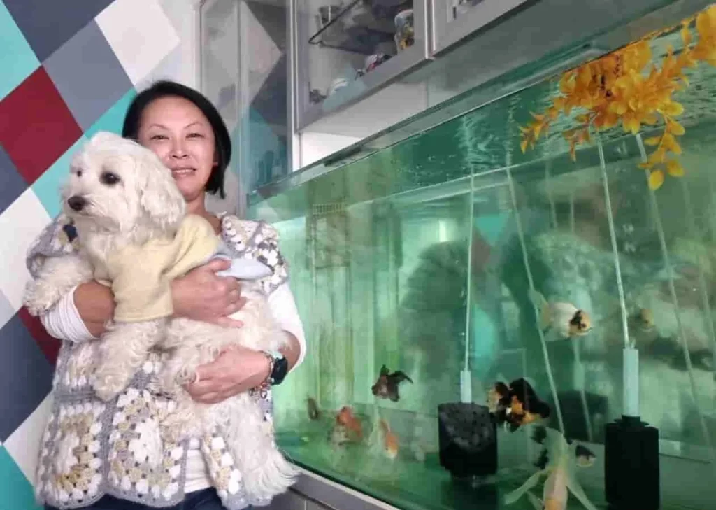 SkyTC co-founder Marcia Okabe holding pet dog Murphy next to a large 400-liter Oranda and Ranchu Goldfish aquarium.